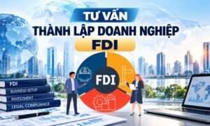 Tư vấn thành lập doanh nghiệp FDI: Hồ sơ, điều kiện và quy trình
